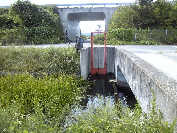 荷口川取水口