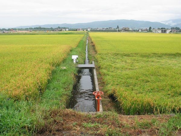 南浦地内転倒ゲート